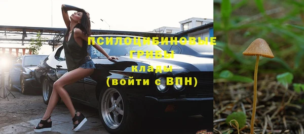 ГАЛЛЮЦИНОГЕННЫЕ ГРИБЫ Аркадак