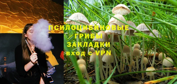 spice Армянск