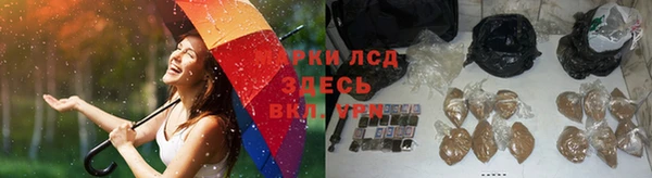 spice Армянск