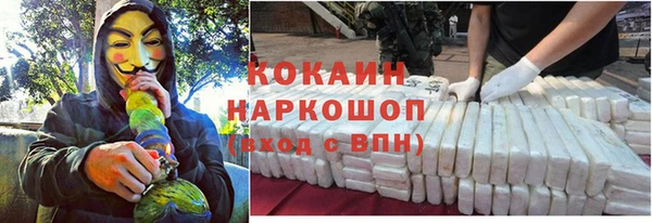 ГАЛЛЮЦИНОГЕННЫЕ ГРИБЫ Аркадак