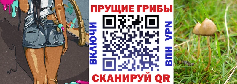 Псилоцибиновые грибы ЛСД  shop состав  Борзя  ссылка на мегу зеркало 